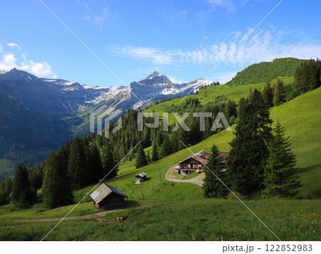 Topfelsberg and Mount Oldenhorn. Topfelsberg and Mount Oldenhorn. 122852983