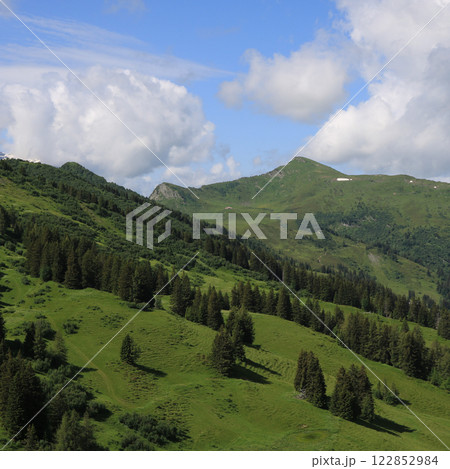 Green mountain meadows and Arnehore. 122852984
