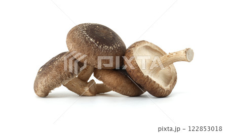Group of Fresh Shiitake Mushrooms Isolated on White Background 122853018