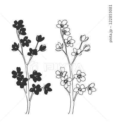 Branch set of blooming cherry in doodle sketch style, contour hand drawing, isolated on white background. Spring sakura. Branch set of blooming cherry in doodle sketch style, contour hand drawing, isolated on white background. Spring sakura. 122853081