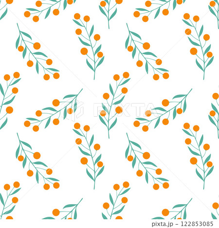 Mandarines pattern, tangerine clementine with leaves stylized drawing, pattern on white background.  122853085