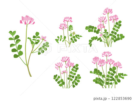 かわいく咲いたレンゲソウのバリエーション イラストセット かわいく咲いたレンゲソウのバリエーション イラストセット 122853690