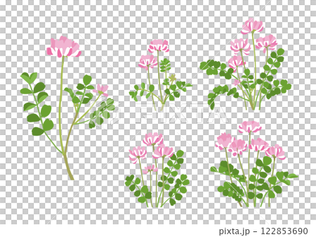 かわいく咲いたレンゲソウのバリエーション イラストセット かわいく咲いたレンゲソウのバリエーション イラストセット 122853690