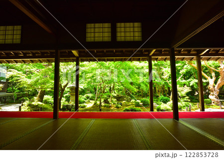 京都 春の圓光寺 122853728