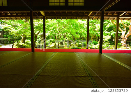 京都 春の圓光寺 京都 春の圓光寺 122853729
