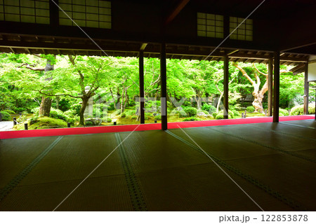 京都 春の圓光寺 122853878