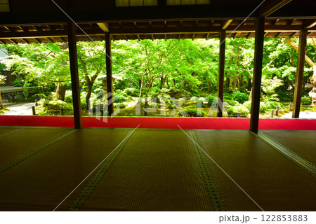 京都 春の圓光寺 122853883