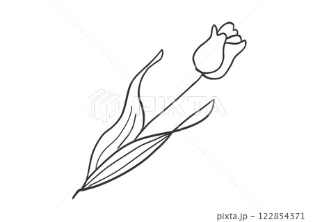 チューリップのシンプルな線画イラスト チューリップのシンプルな線画イラスト 122854371