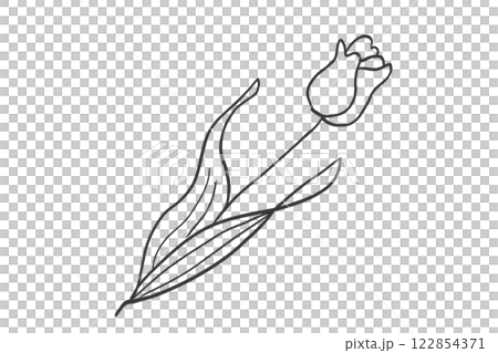 チューリップのシンプルな線画イラスト チューリップのシンプルな線画イラスト 122854371