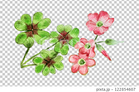 幸せの四つ葉のクローバーと花_オキザリスアイアンクロス 122854607