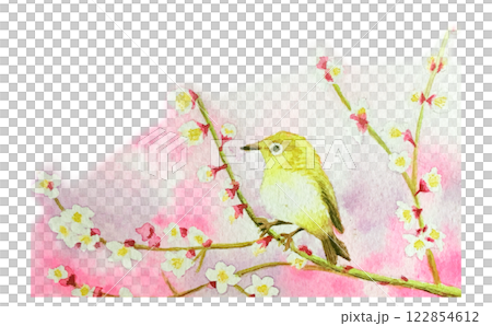 早春的梅花與繡眼鳥 早春的梅花與繡眼鳥 122854612