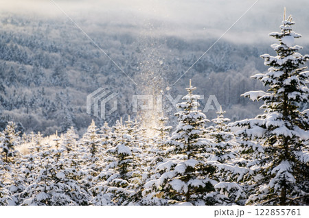 サンピラー 北海道 サンピラー 北海道 122855761