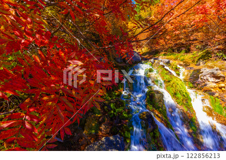 ナナカマドの紅葉 122856213