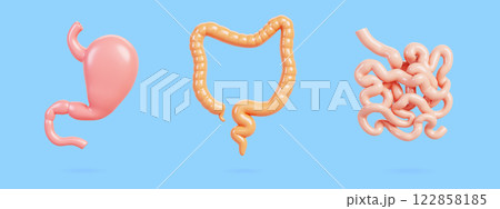 3d set of human internal organs of digestive system. Realistic stomach, colon, large and small intestine isolated medical render icon. Abdominal part of body anatomy concept, blue bg. 3D illustration 122858185
