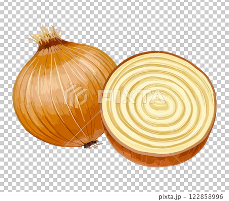 カットした玉ねぎの水彩風イラスト　生成AI 122858996