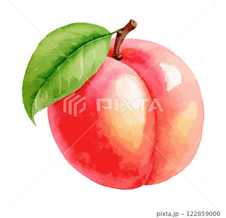水彩で描いた桃のイラスト　生成AI 122859000