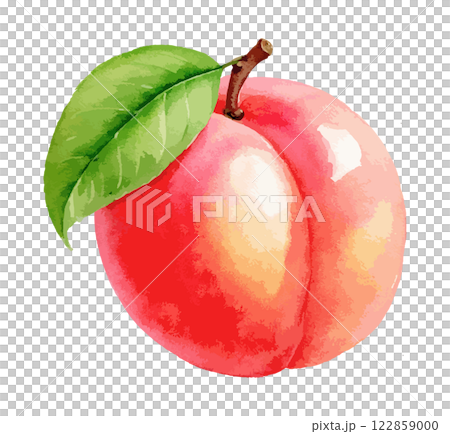 水彩で描いた桃のイラスト　生成AI 122859000