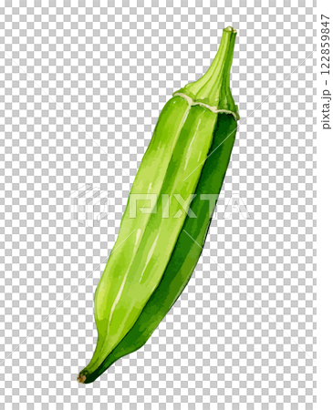 秋葵水彩插圖-AI生成 秋葵水彩插圖-AI生成 122859847