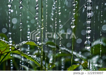 rain drops on grass rain drops on grass 122859897