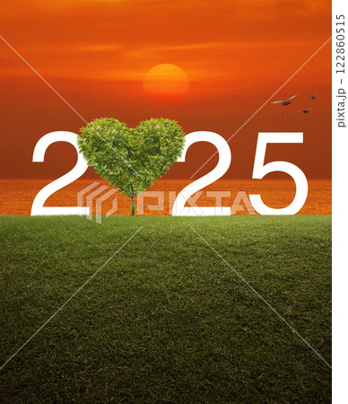 Happy new year and Valentines day 2025 concept Happy new year and Valentines day 2025 concept 122860515