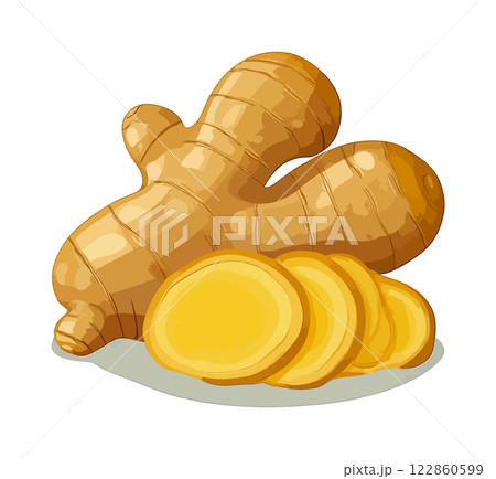 スライスした生姜のイラスト　生成AI 122860599