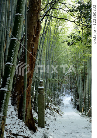 高野山町石道(172町石) 【和歌山県九度山町】 高野山町石道(172町石) 【和歌山県九度山町】 122860832