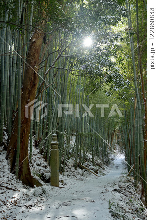 高野山町石道(172町石)　【和歌山県九度山町】 122860838