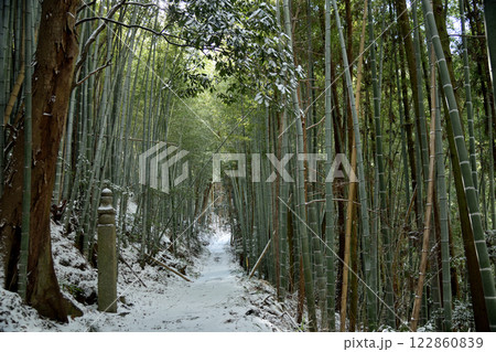 高野山町石道(172町石) 【和歌山県九度山町】 高野山町石道(172町石) 【和歌山県九度山町】 122860839