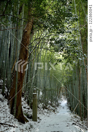高野山町石道(172町石)　【和歌山県九度山町】 122860841