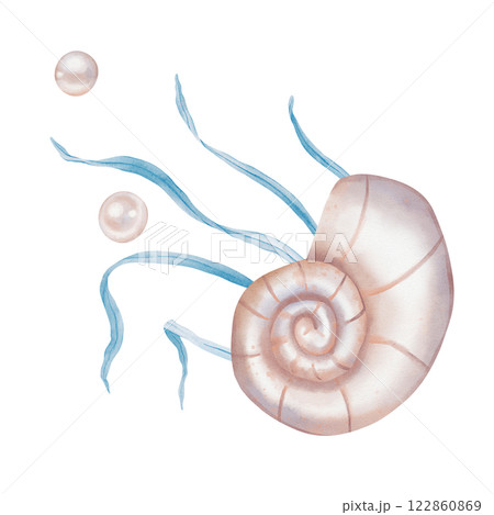 Watercolor composition of Seashell and Seaweed, pearl. Hand drawn illustration of Sea Shell and violet Algae on isolated background. Undersea element for design in marine vintage style. 122860869