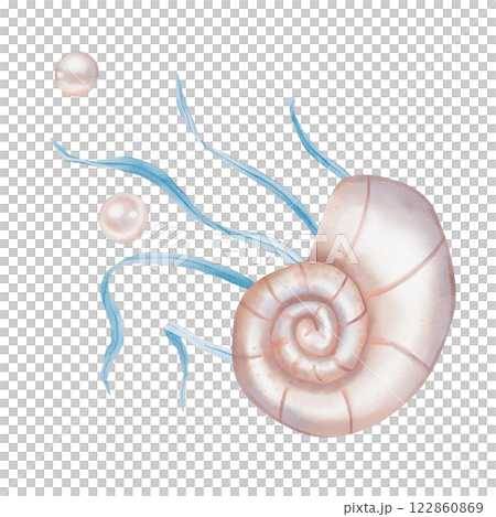 Watercolor composition of Seashell and Seaweed, pearl. Hand drawn illustration of Sea Shell and violet Algae on isolated background. Undersea element for design in marine vintage style. 122860869