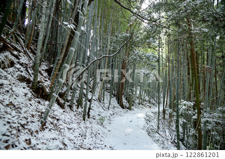 高野山町石道(百七十二町石)　【和歌山県九度山町】 122861201