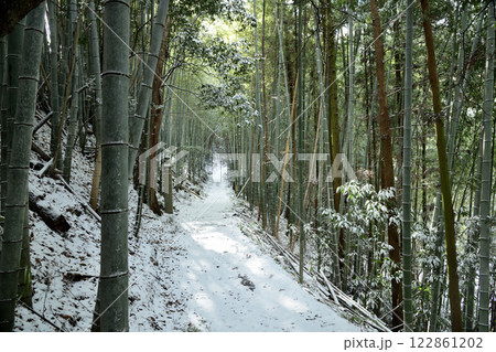 高野山町石道(百七十二町石) 【和歌山県九度山町】 高野山町石道(百七十二町石) 【和歌山県九度山町】 122861202