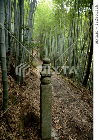 高野山町石道(172町石)　【和歌山県九度山町】 122861316