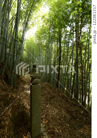 高野山町石道(172町石)　【和歌山県九度山町】 122861317