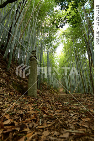 高野山町石道(172町石)　【和歌山県九度山町】 122861318