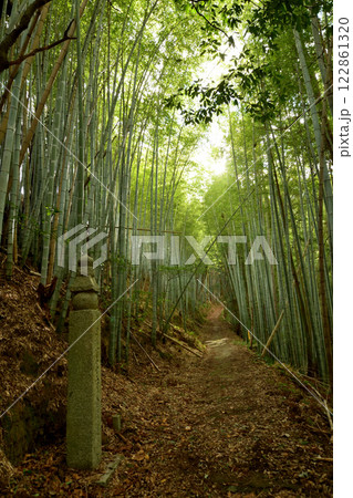 高野山町石道(172町石)　【和歌山県九度山町】 122861320