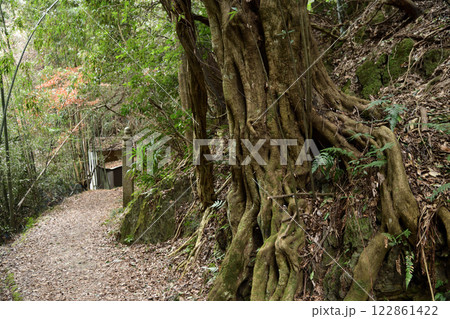 高野山町石道(百七十町石)　【和歌山県九度山町】 122861422