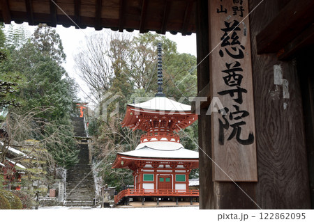 慈尊院(山門、多宝塔) 【和歌山県九度山町】 慈尊院(山門、多宝塔) 【和歌山県九度山町】 122862095