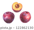 Hand drawn watercolor illustration, set of fruit plum isolated on white background. Watercolor sketch. 122862130