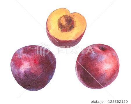 Hand drawn watercolor illustration, set of fruit plum isolated on white background. Watercolor sketch. Hand drawn watercolor illustration, set of fruit plum isolated on white background. Watercolor sketch. 122862130