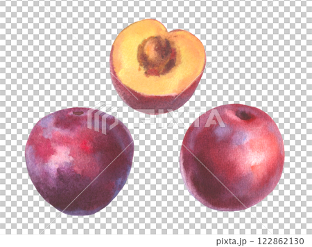 Hand drawn watercolor illustration, set of fruit plum isolated on white background. Watercolor sketch. Hand drawn watercolor illustration, set of fruit plum isolated on white background. Watercolor sketch. 122862130