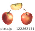 Watercolor set of red apple. Realistic fruits, half, slice, botanical watercolor illustrations. Artwork Sweet food or juice for label design. 122862131