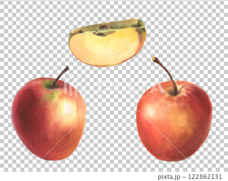 Watercolor set of red apple. Realistic fruits, half, slice, botanical watercolor illustrations. Artwork Sweet food or juice for label design. Watercolor set of red apple. Realistic fruits, half, slice, botanical watercolor illustrations. Artwork Sweet food or juice for label design. 122862131