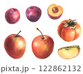 Hand drawn watercolor illustration, set of fruit, apple, plum, persimmons. Realistic fruits, half, slice, botanical watercolor illustrations. Artwork Sweet food or juice for label design 122862132