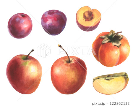 Hand drawn watercolor illustration, set of fruit, apple, plum, persimmons. Realistic fruits, half, slice, botanical watercolor illustrations. Artwork Sweet food or juice for label design Hand drawn watercolor illustration, set of fruit, apple, plum, persimmons. Realistic fruits, half, slice, botanical watercolor illustrations. Artwork Sweet food or juice for label design 122862132