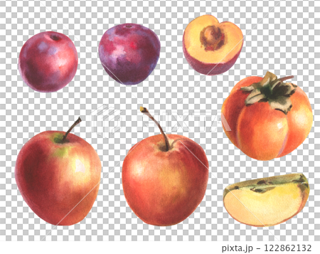 Hand drawn watercolor illustration, set of fruit, apple, plum, persimmons. Realistic fruits, half, slice, botanical watercolor illustrations. Artwork Sweet food or juice for label design Hand drawn watercolor illustration, set of fruit, apple, plum, persimmons. Realistic fruits, half, slice, botanical watercolor illustrations. Artwork Sweet food or juice for label design 122862132