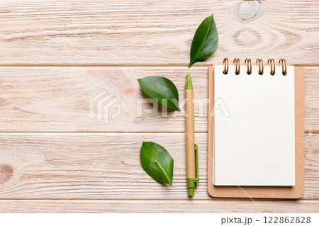 eco-friendly Empty notebook with pen and green leaf on Colored background for note 122862828