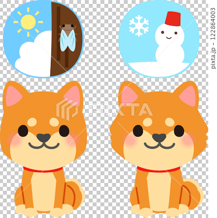 柴犬的夏季和冬季皮毛 122864003