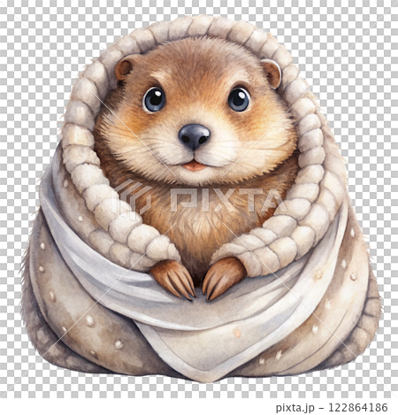 Groundhog  fireworks  wearing winter clothes 122864186